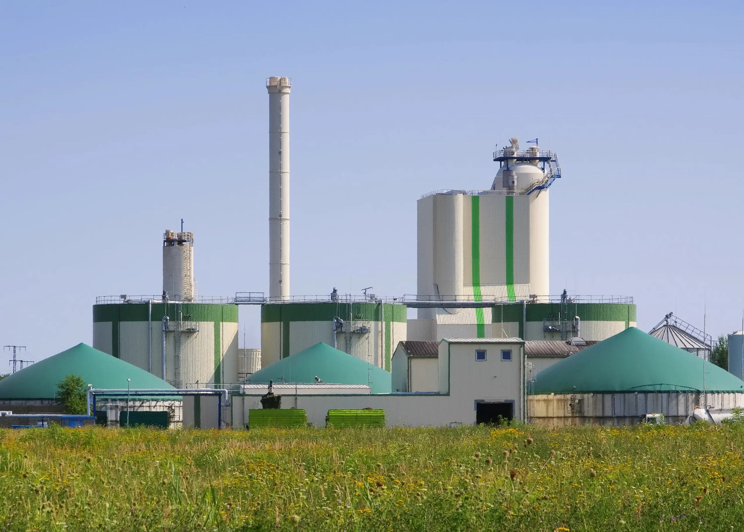 The harmonious combination of green fields and the renewable biomass power plant conceals the indispensable control valves responsible for efficient energy generation from sustainable sources.